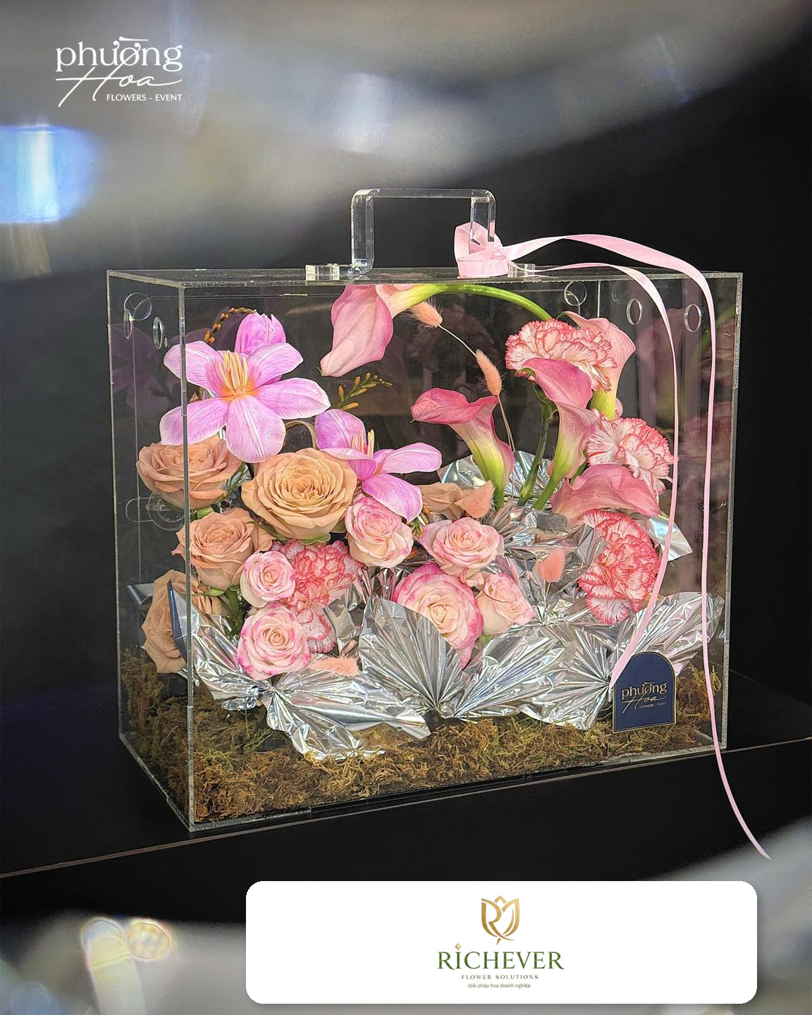 Partner Care album 3