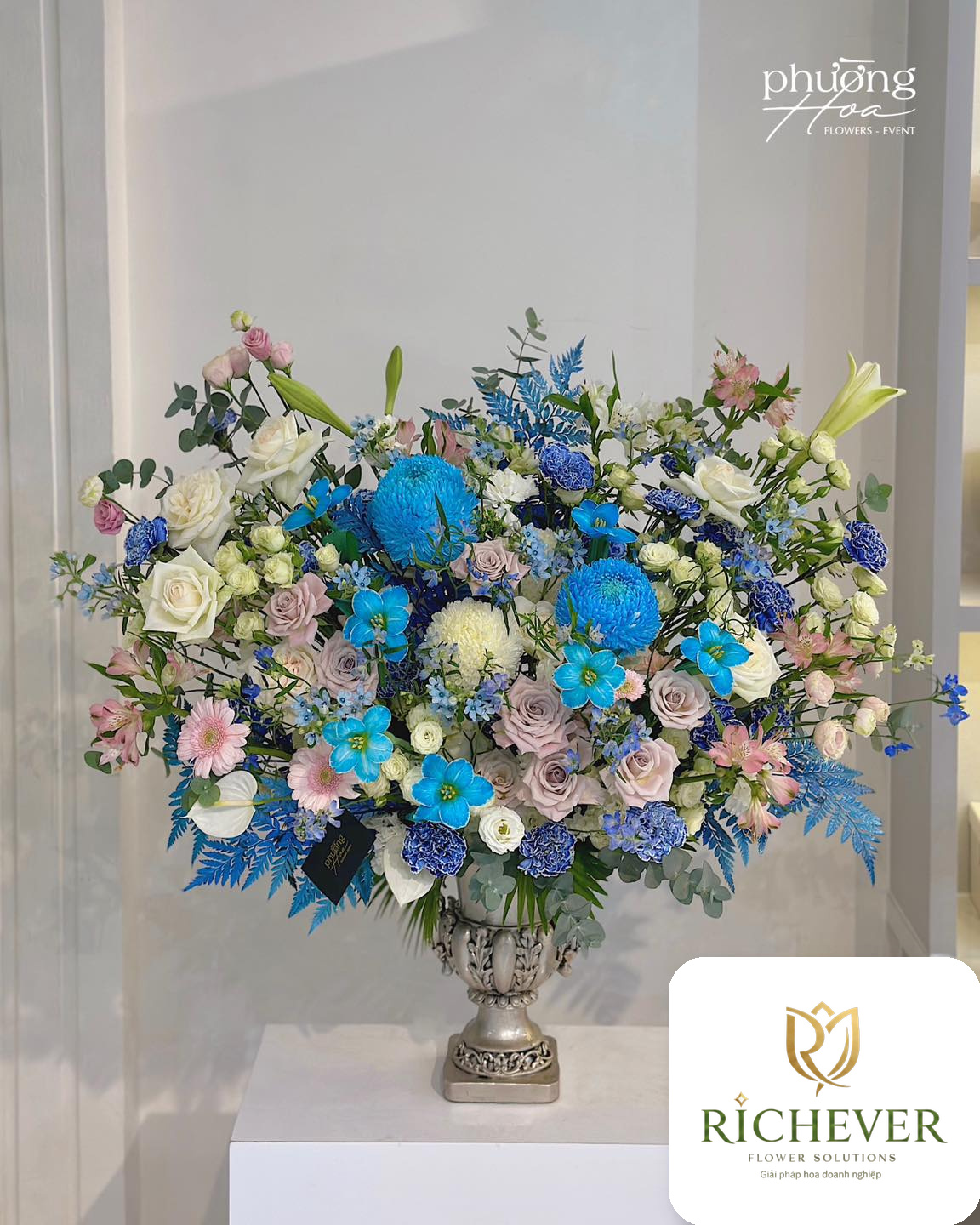 Partner Care album 10